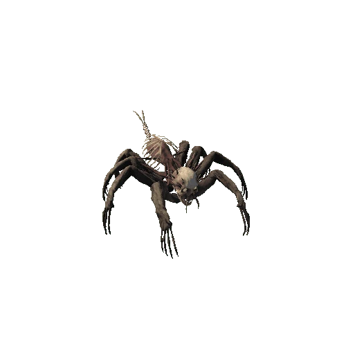 Base Mesh Monster Bone Spider Skin1